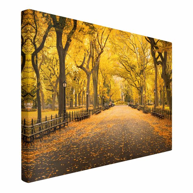 schöne Leinwandbilder Herbst im Central Park