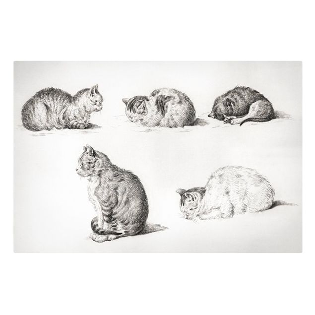 schöne Leinwandbilder Vintage Zeichnung Katze I