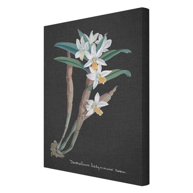 schöne Leinwandbilder Weiße Orchidee auf Leinen I