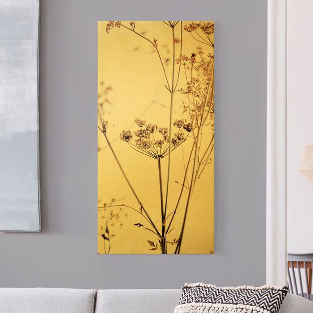 Wandbilder Trockenblume im Lichtspiel