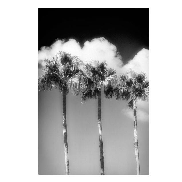 Leinwandbilder kaufen Palmen vor Himmel Schwarz-Weiß