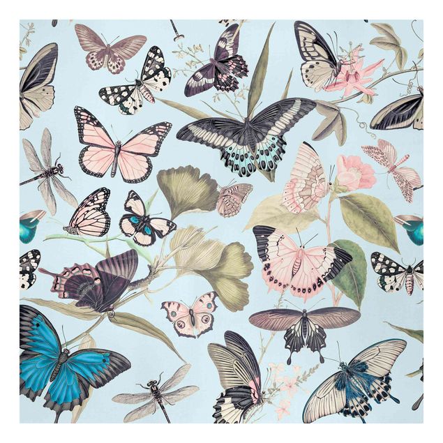 Bilder Vintage Collage - Schmetterlinge und Libellen