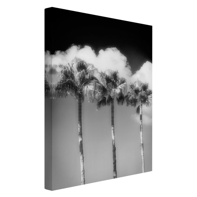 Wandbilder Palmen vor Himmel Schwarz-Weiß