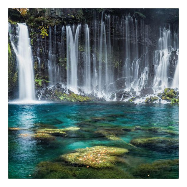Leinwandbilder kaufen Shiraito Wasserfall