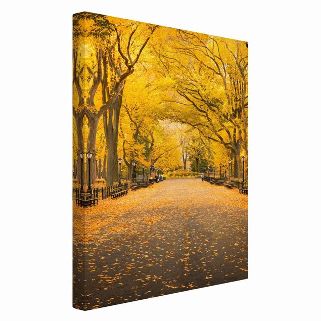 Leinwandbilder kaufen Herbst im Central Park