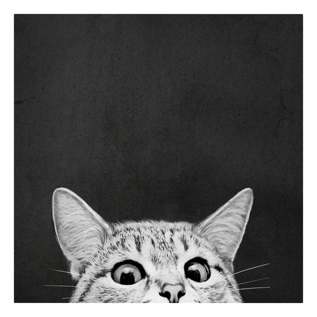 Bilder Illustration Katze Schwarz Weiß Zeichnung