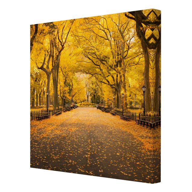Leinwandbild - Herbst im Central Park - Quadrat 1:1