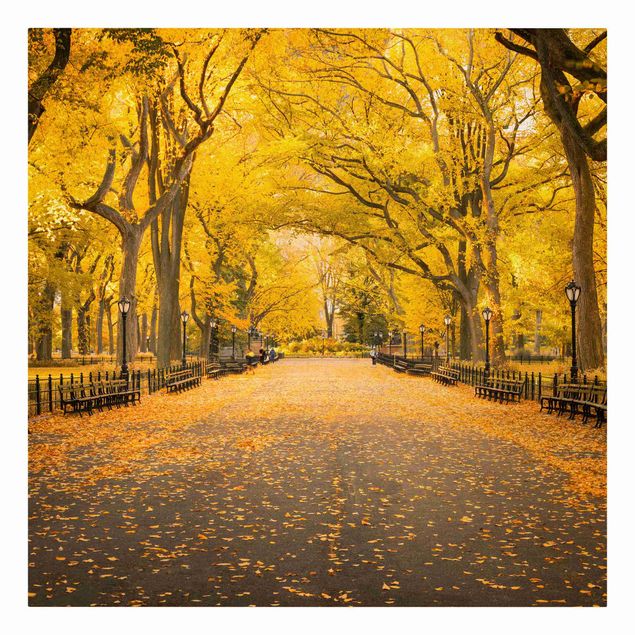 Leinwandbild - Herbst im Central Park - Quadrat 1:1