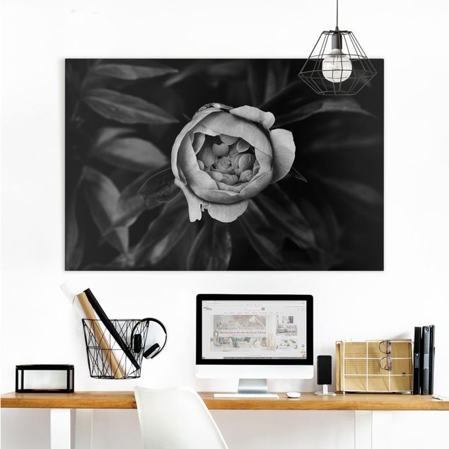 schwarz-weiß Bilder auf Leinwand Pfingstrosenblüte vor Blättern Schwarz Weiß