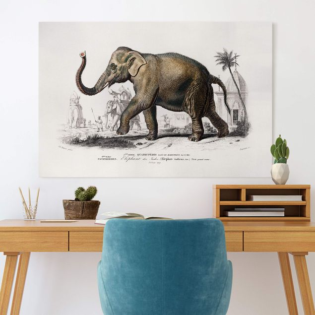 Leinwand Elefant Vintage Lehrtafel Elefant