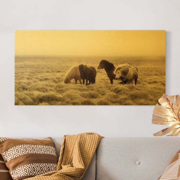 Leinwandbilder Gold Canvas Island Wildpferde
