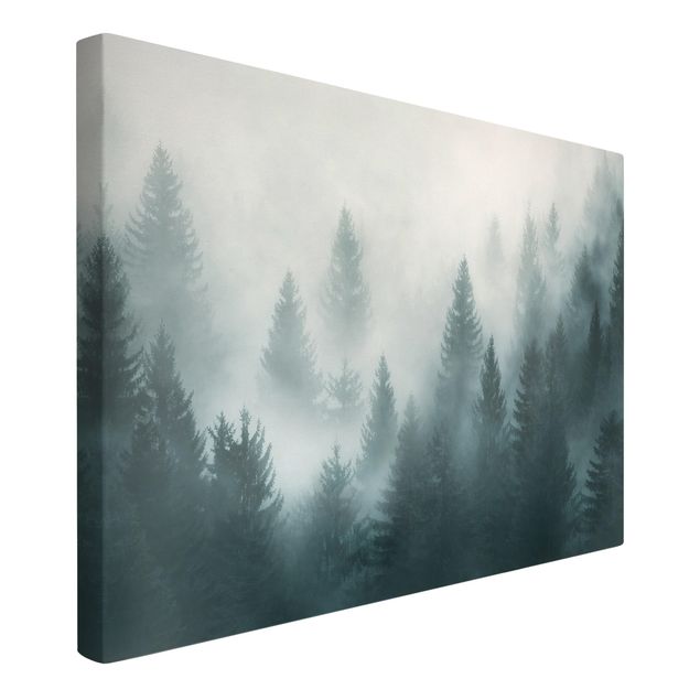 Leinwandbilder Nadelwald im Nebel