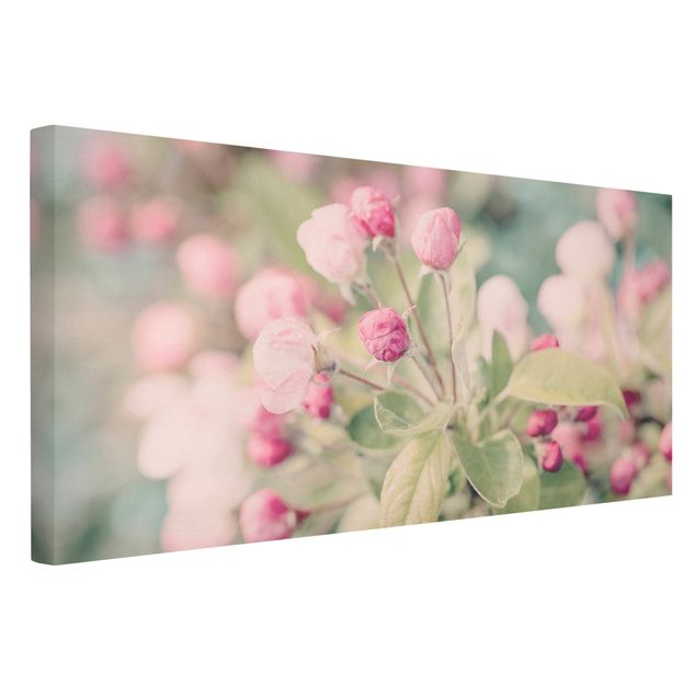 schöne Leinwandbilder Apfelblüte Bokeh rosa