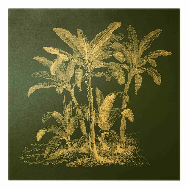 schöne Leinwandbilder Illustration Bananenpalmen auf Grün