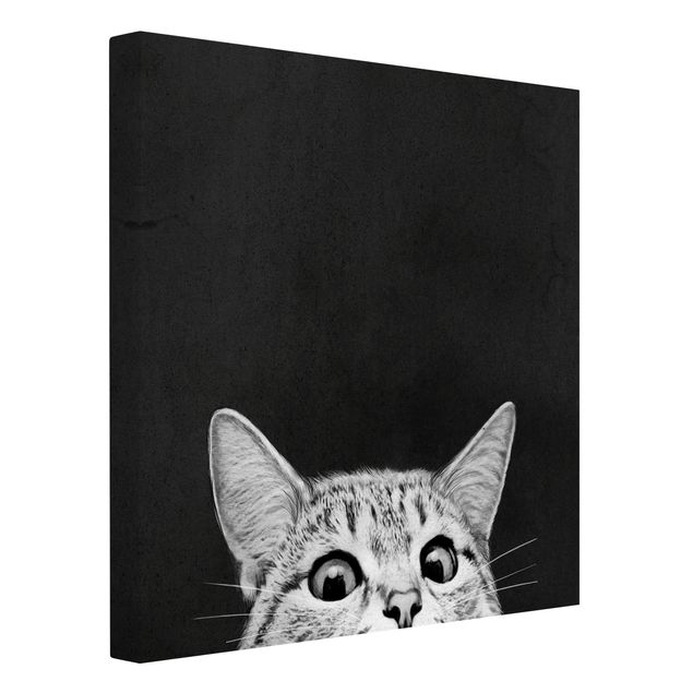 Graves Bilder Illustration Katze Schwarz Weiß Zeichnung