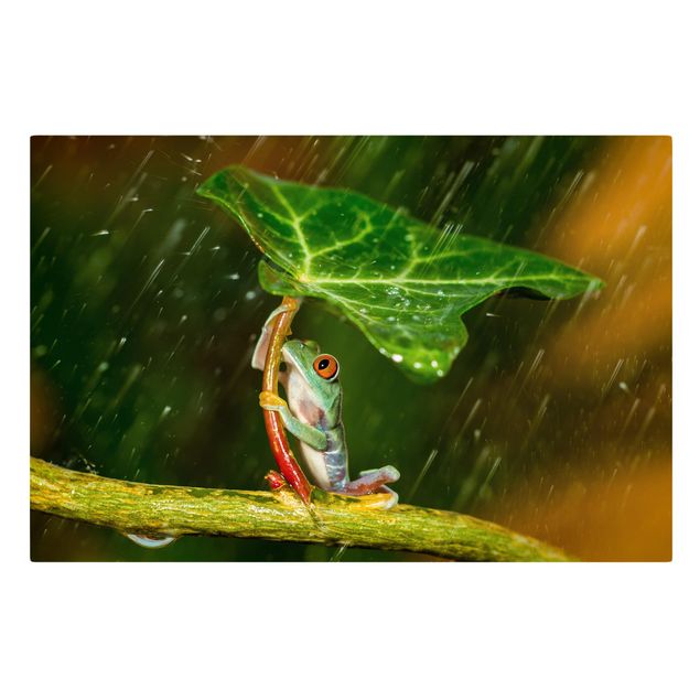 Leinwandbild - Ein Frosch im Regen - Querformat 2:3