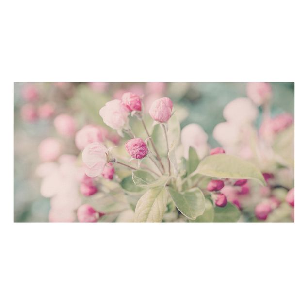 Leinwandbild - Apfelblüte Bokeh rosa - Querformat 1:2