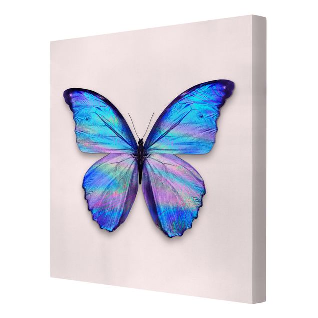 Leinwandbilder Holografischer Schmetterling