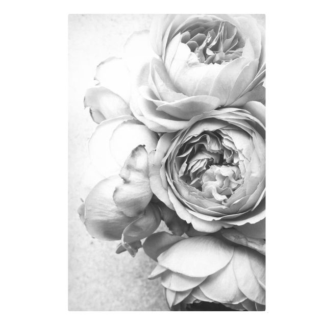 schöne Leinwandbilder Pfingstrosenblüten Schwarz Weiß