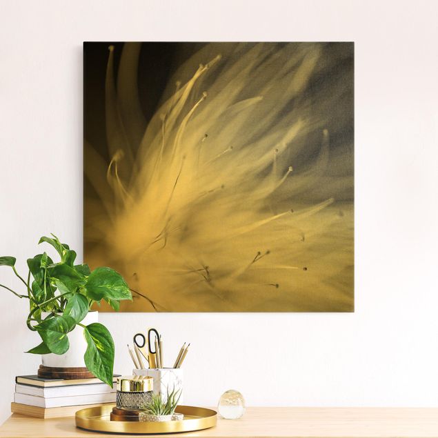 Leinwandbilder Gold Canvas Blütenstaub Schwarz-Weiß