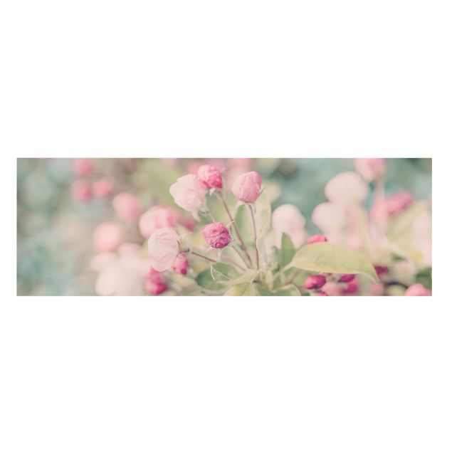 Leinwandbild - Apfelblüte Bokeh rosa - Panorama 1:3