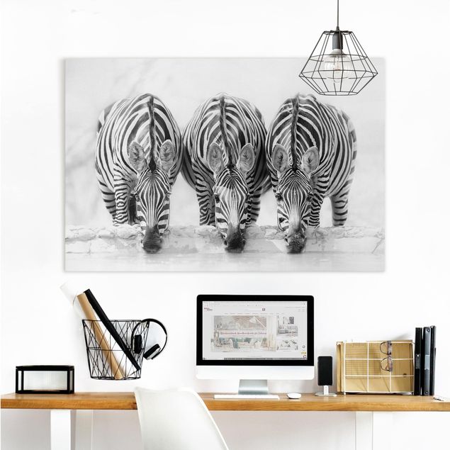 Leinwandbilder schwarz-weiß Zebra Trio schwarz-weiß