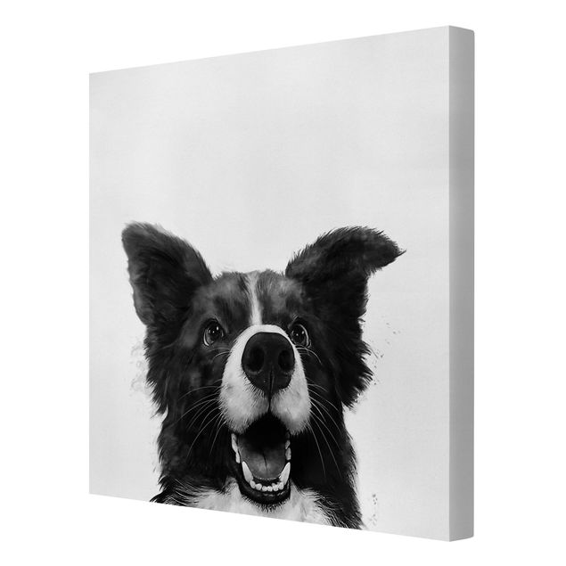 Leinwandbilder kaufen Illustration Hund Border Collie Schwarz Weiß Malerei