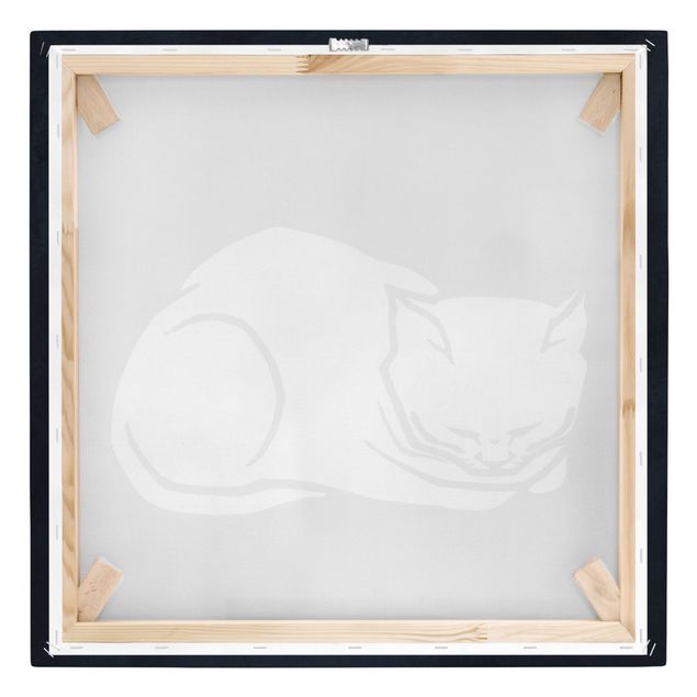 Leinwandbild - Schlafende Katze Illustration - Quadrat 1:1