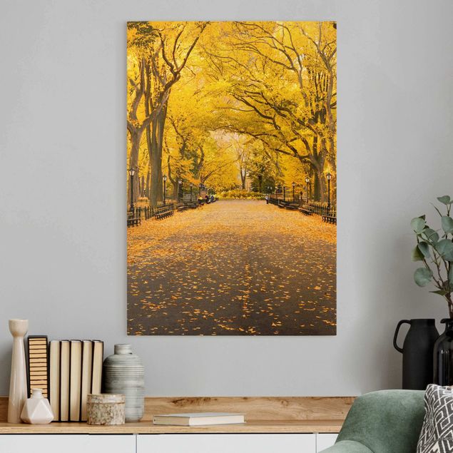 Leinwandbilder New York Herbst im Central Park