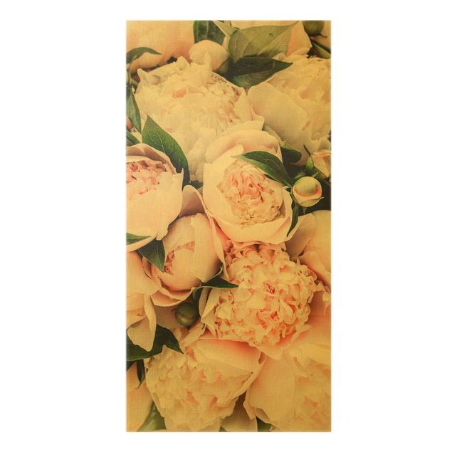 Leinwandbilder kaufen Rosa Pfingstrosen mit Blättern
