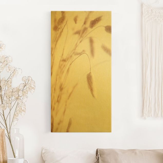 Leinwandbilder Gold Canvas Zartes Glanzgras