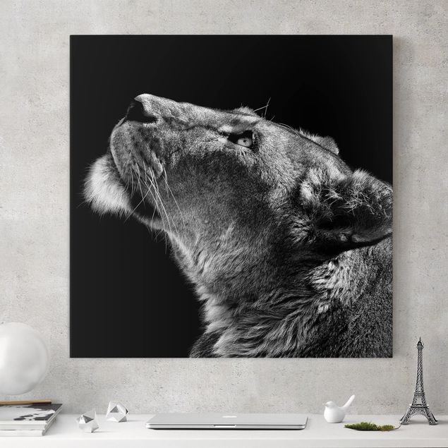 Löwe Leinwand Portrait einer Löwin