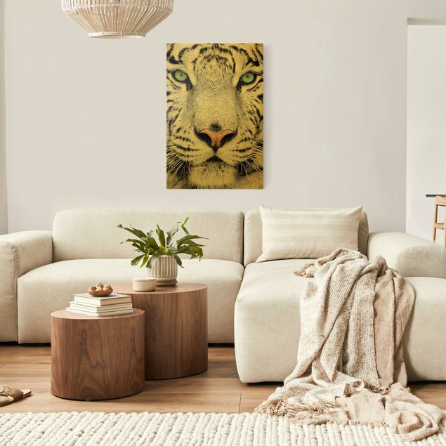Wandbilder Weißer Tiger