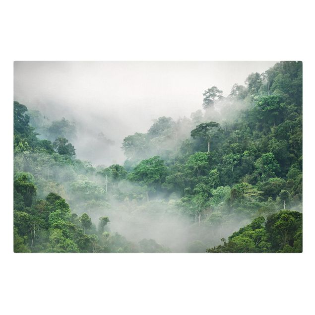 Leinwandbilder Dschungel im Nebel