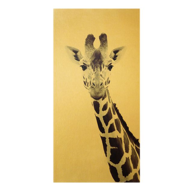 schöne Bilder Giraffen Portrait in Schwarz-weiß
