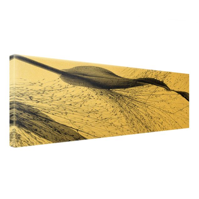 Leinwandbild Gold - Zartes Schilf mit feinen Knospen Schwarz Weiß - Panorama Quer