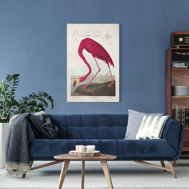 moderne Leinwandbilder Vintage Lehrtafel Amerikanischer Flamingo