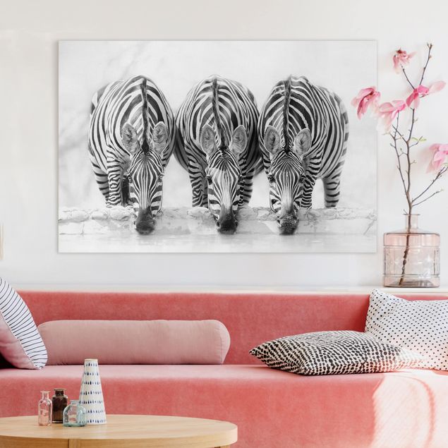 Leinwand Tiere Zebra Trio schwarz-weiß