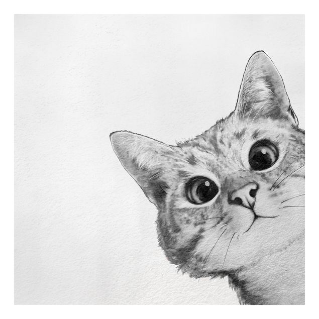 Bilder Illustration Katze Zeichnung Schwarz Weiß