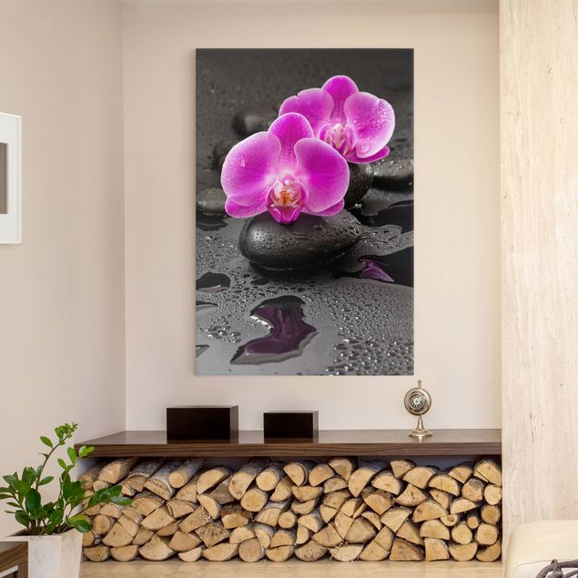 Leinwandbilder Blumen Pinke Orchideenblüten auf Steinen mit Tropfen