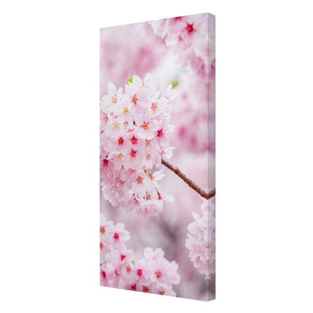 Leinwandbild - Japanische Kirschblüten - Hochformat 1:2