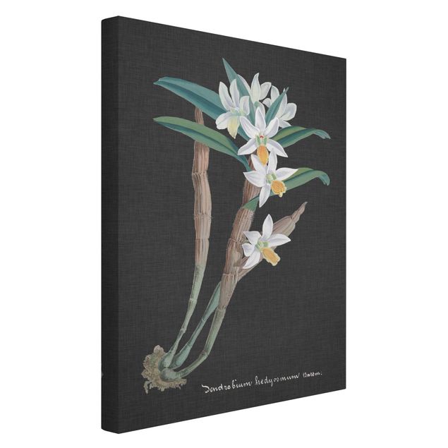 Leinwandbilder Retro Weiße Orchidee auf Leinen I