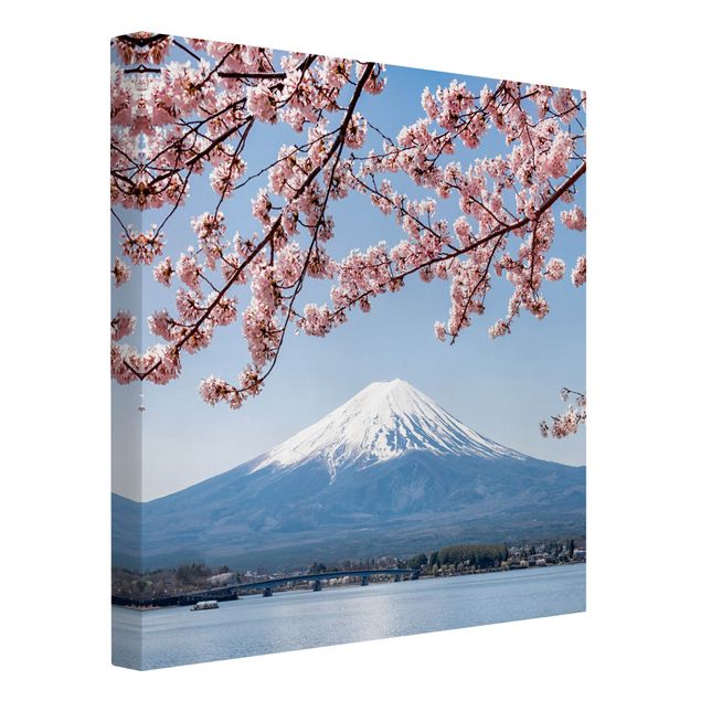 schöne Bilder Kirschblüten mit Berg Fuji