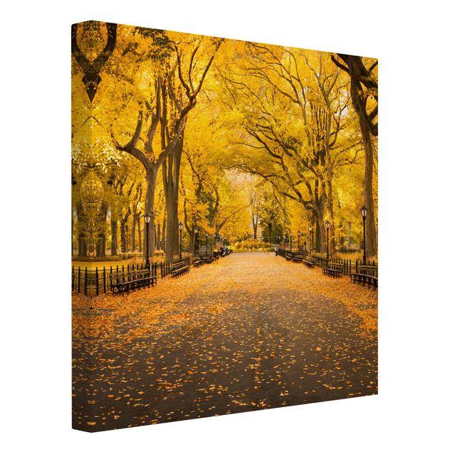 Leinwandbilder Herbst im Central Park
