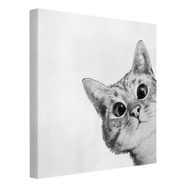 Graves Bilder Illustration Katze Zeichnung Schwarz Weiß