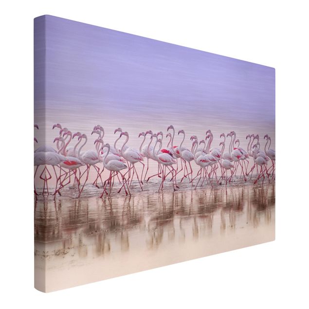 schöne Leinwandbilder Flamingo Party