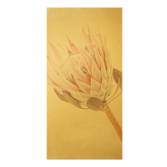 Leinwandbilder Protea Königin der Blüten