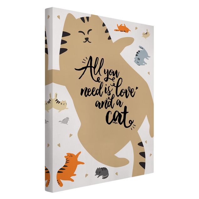 Bilder All you need is love and a cat Katzenbauch