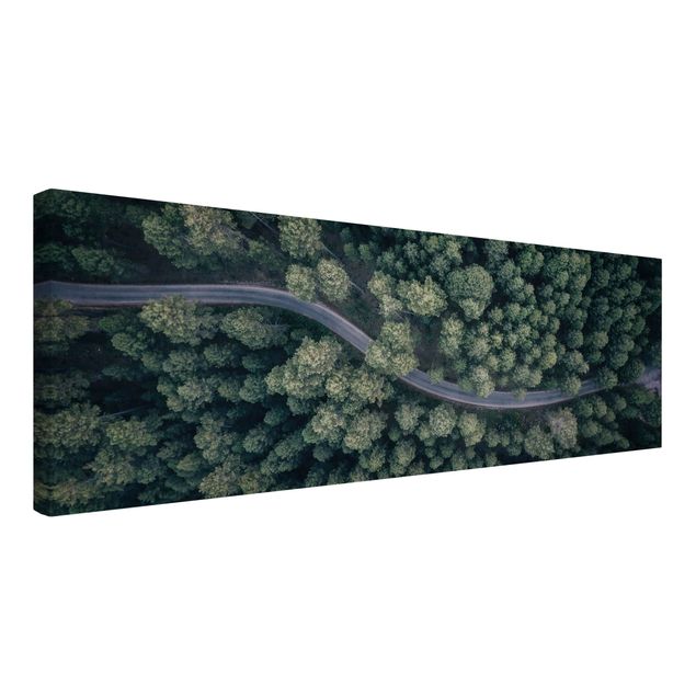 Leinwandbilder Luftbild - Waldstraße von Oben