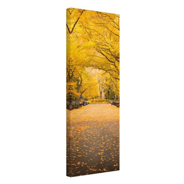 Leinwandbilder kaufen Herbst im Central Park